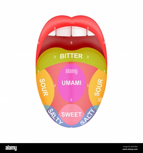 Tongue Taste Bitter Stock Vector Images Alamy