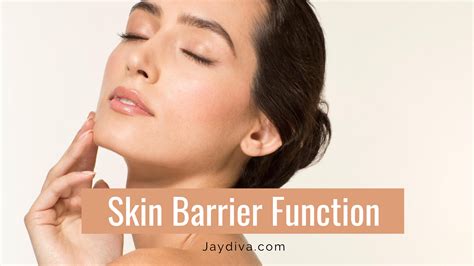 The Skin Barrier How To Repair A Damaged Skin Barrier
