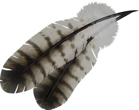 Feather Bird Feather Png Png Download 21851725 Free Transparent
