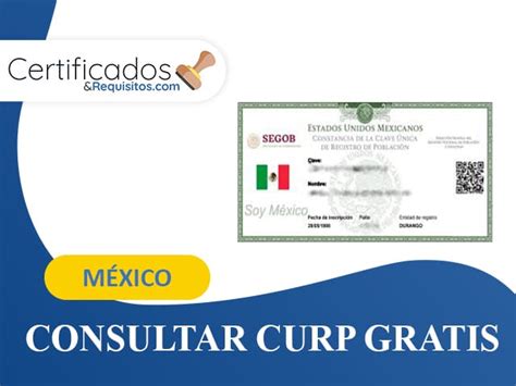Información sobre los pasos para buscar y obtener la constancia de curp. Consultar CURP gratis en México