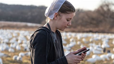 The Untold Truth Of Amish Mafia