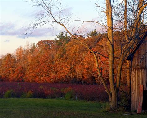 Autumn Colors At Dusk Photograph By Mike Stanfield Pixels