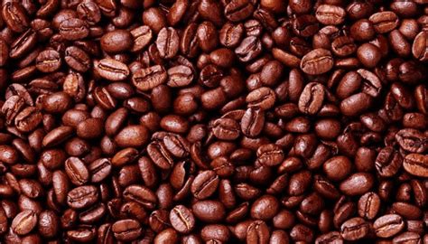 Cameroon Robusta Coffee Exports Rise To 1208 Tonnes By End January