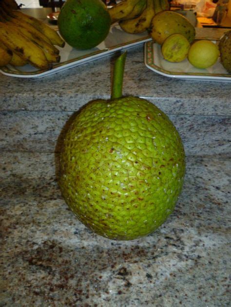 15 Panapen And Pana And The Puerto Rican Foodie Ideas Breadfruit