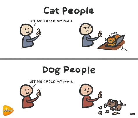 Cat People Vs Dog People Do You Recognize These Moments Funny