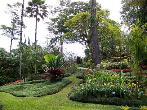 Botanical Gardens Of Costa Rica The Best Preserved Ones Of Central
