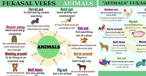 20 Useful Animals Phrasal Verbs In English • 7esl