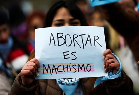 estela regidor diputada argentina comparó el aborto con los perritos