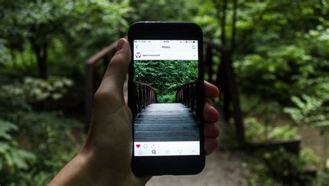 Instagram Account Highlights How Photos On The Platform All Look The