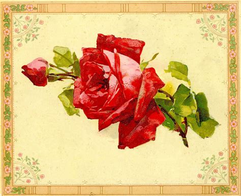 Antique Images Vintage Flower Clip Art Red Rose Graphic From Vintage