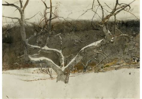 Wyeth Watercolors The Intelligent Collector