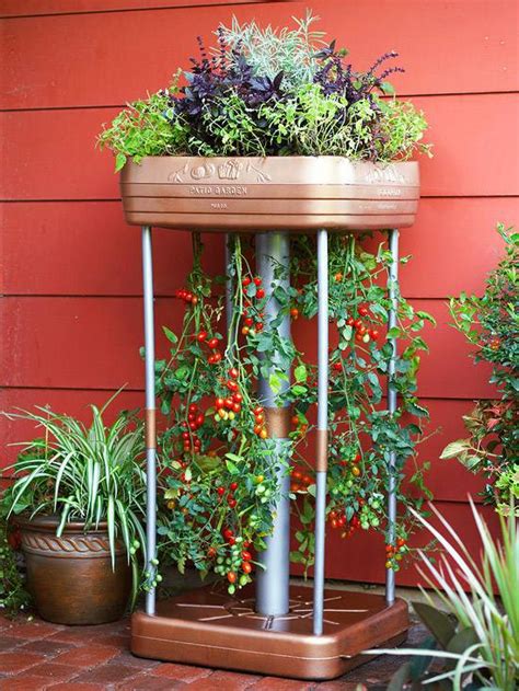 20 Interesting Fresh Ideas For Growing Vegetables In Containers Avso