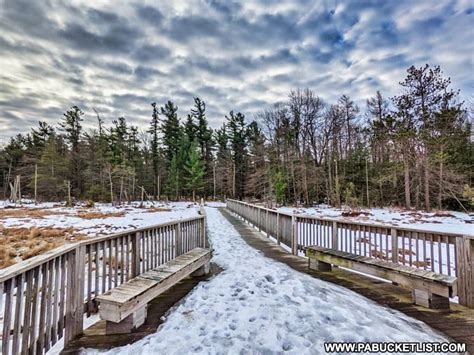 The Spruce Flats Bog Boardwalk In The Forbes State Forest Westmoreland