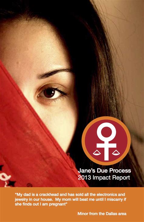 Impact Reports Janes Due Process
