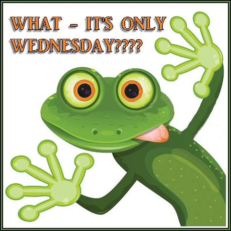 Wednesday Frog Frog Pictures Frog Clip Art