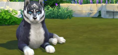 Sims 4 Cc Wolf Tail