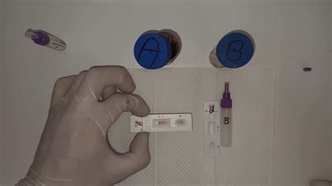 nueva prueba rápida de sangre oculta en heces fob marca boson biotech hd youtube
