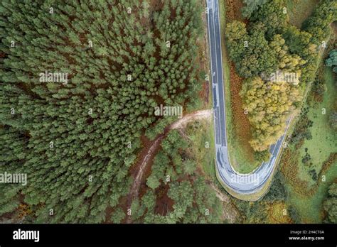 Aerial View Of A Winding Road In A High Mountain Pass Through Dense