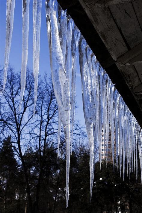 Icicles Free Photo Download Freeimages