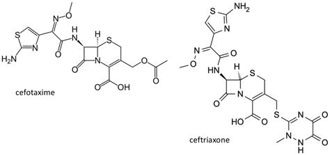 Chemical Structure Of The Third Generation Cephalosporins Cefotaxime