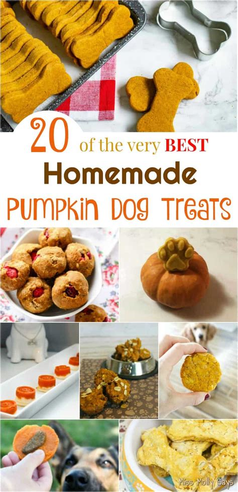 20 Of The Very Best Homemade Pumpkin Dog Treats Miss Molly Says