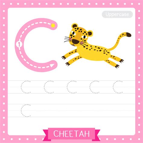 Flashcard Letter C Is For Cat Illustrations Royalty Free Vector