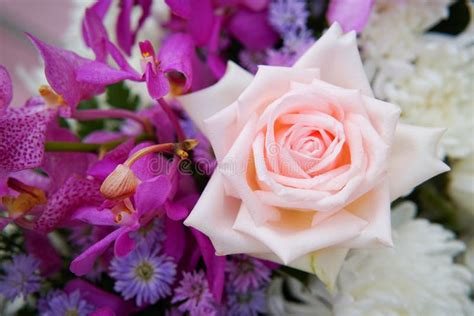 Fake Flower And Floral Background Stock Photo Image Of Arrangement