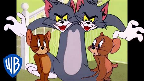 Tom Et Jerry En Français Copains Pour La Vie Wb Kids Youtube