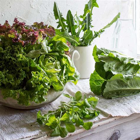 15 Of The Best Types Of Lettuce To Add To Your Salad Bowl Eatingwell