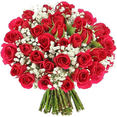 Descubra 48 Kuva Bouquet De Fleurs Pour Anniversaire Femme
