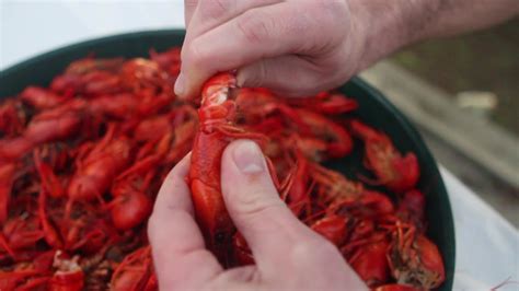 How To Eat a Crawfish - YouTube