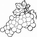 Coloring Grape Clipart Grapes Clipartbest Super Fruits sketch template