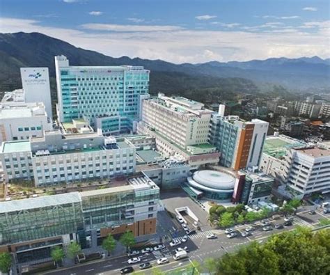 Pusan National University Top University In South Korea Gotouniversity