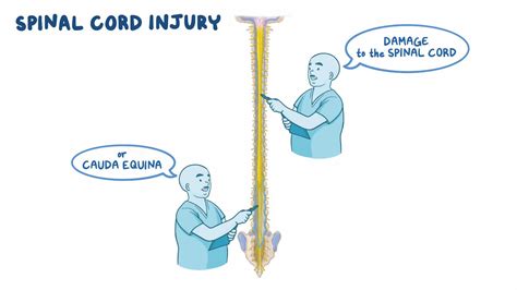 Spinal Cord Injury Sci Nursing Osmosis Video Library