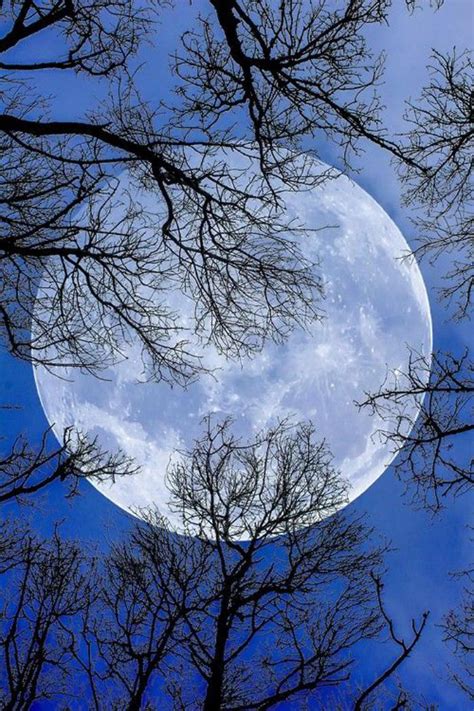 Pourquoi La Pleine Lune Est Si Inspirante 40 Jolies Photographies Du