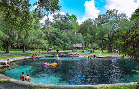 One Leap Into The Bracing Water Of A Central Florida Spring And Its