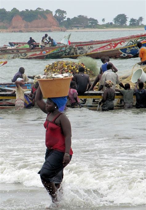 Unloading The Fishing Boats In Tanji The Gambia Brimstone Dreams