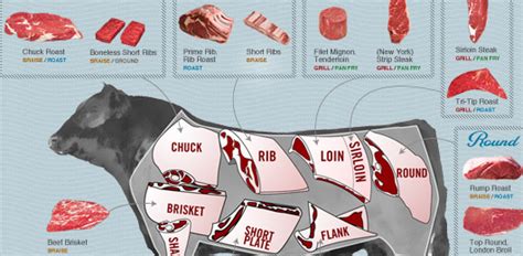 an interactive visual guide to the common cuts of beef primer