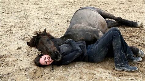The Incredible Bond Between Human And Horse Horse And Human Horses