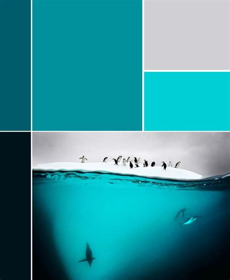 Teals and Penguins! | Teal color schemes, Teal color palette, Color schemes
