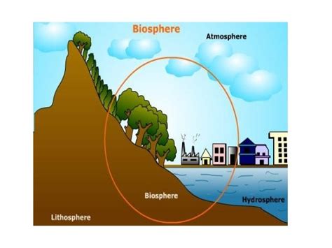 An Example Of A Biosphere