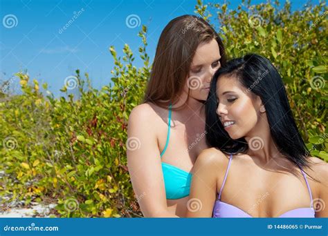 Girls In Love Stock Image Image Of Summer Partnership 14486065