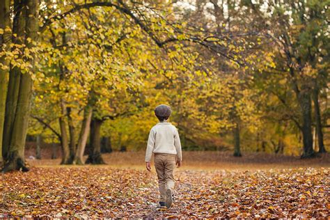 Little Boy Walking Away Into A Golden Autumn Forest By Stocksy