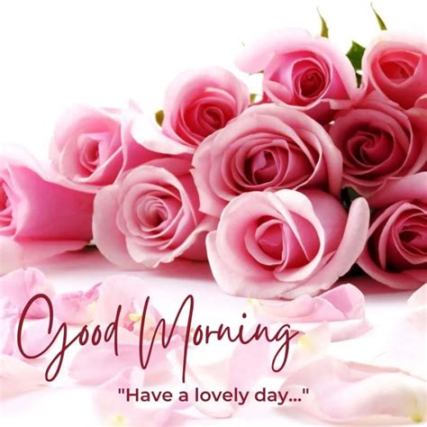 Awe Inspiring Collection Of 999 Good Morning Images With Rose Flowers