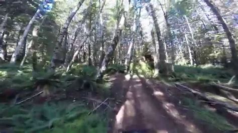 Tillamook state forest ohv, forest grove, oregon. Tillamook State Forest OHV Ride - YouTube