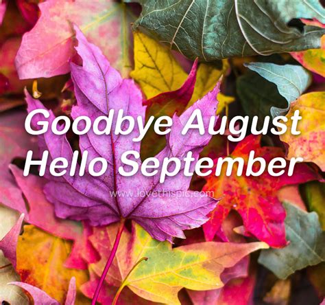 Colorful Fall Leaves Goodbye August Hello September Pictures Photos