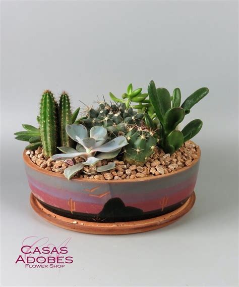 Maybe you would like to learn more about one of these? Tucson AZ Cactus Garden Delivery | Casas Adobes Florist