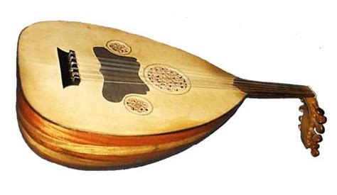 Dilla Fadlilla Chordophone Music Instrument Alat Musik Chordophone
