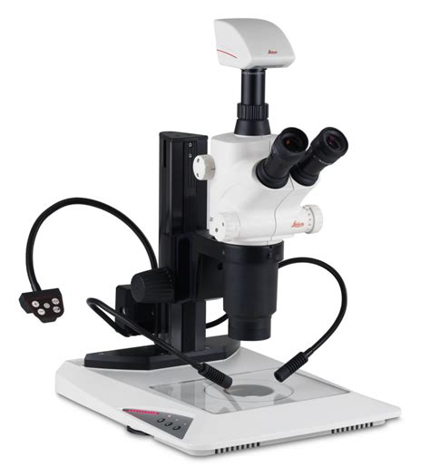Leica S8 Apo Microscope Advanced Light Microscopy And Spectroscopy Lab