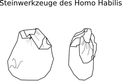 Funde zum homo naledi meinunterricht. Aufgabe Abitur Homo Naledi : Aufgabe Abitur Homo Naledi ...